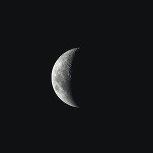 Meet your Posher, Thomas